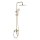 REA-P7841 - Ensemble de douche avec mitigeur ARGUS, finition dorée brossée