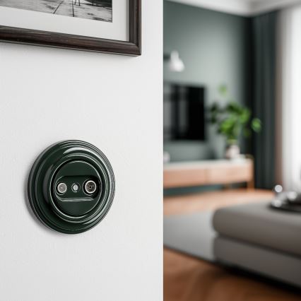 Reblig - Prise terminale rétro TV+Radio avec cadre vert