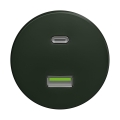 Reblig - Prise USB murale rétro A+C sans cadre, verte