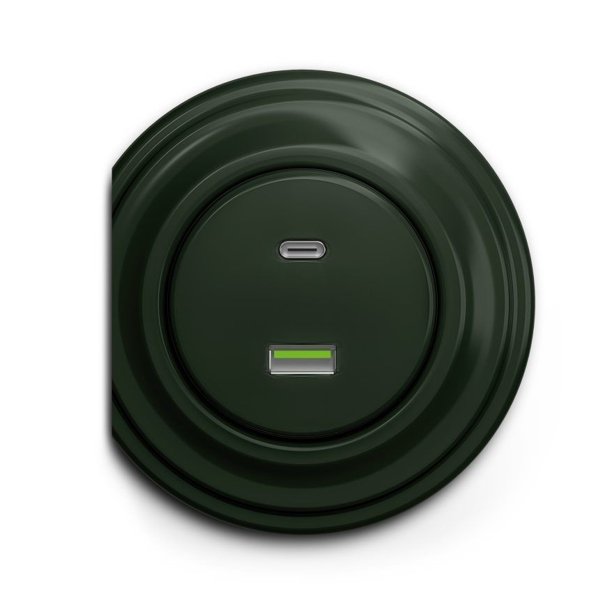 Reblig - Prise USB murale rétro A+C sans cadre, verte
