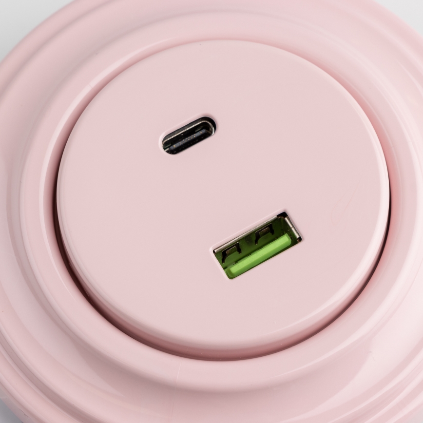 Reblig - Prise USB rétro A et C avec cadre, rose poudré
