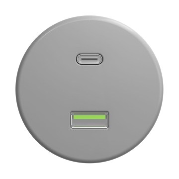 Reblig - Prise USB rétro A+C sans cadre, grise
