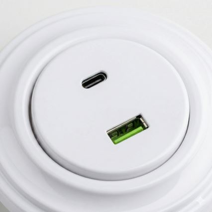 Reblig - Retro USB-stopcontact A+C met afdekraam, sneeuwwit