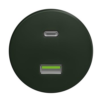 Reblig - Retro USB-stopcontact A+C zonder afdekraam, groen