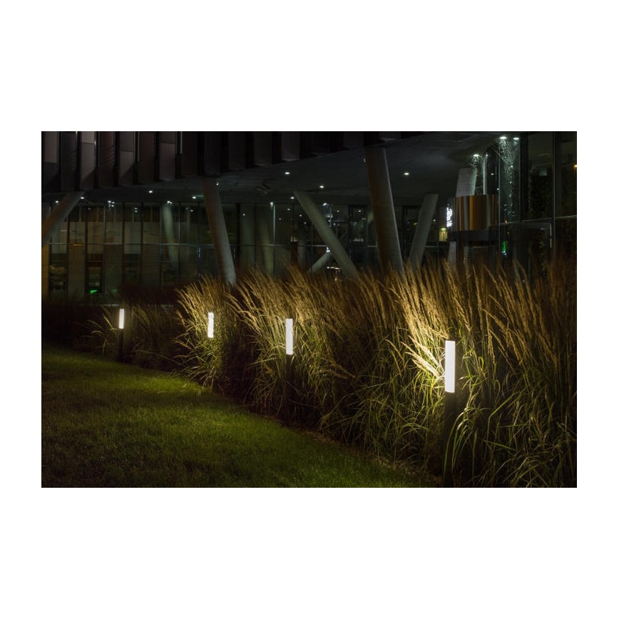 RED - Design Rendl - R10548 - LED Lamp voor Buiten VADIS LED/8W/230V IP54