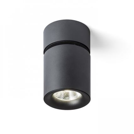 RED - Design Rendl - R12840 - Spot CONDU LED/20W/230V noir