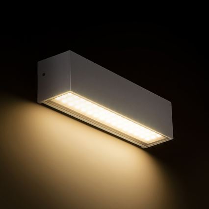 RED-Design Rendl-R13527- Applique murale d'extérieur CAMARGUE LED/6W/230V IP65