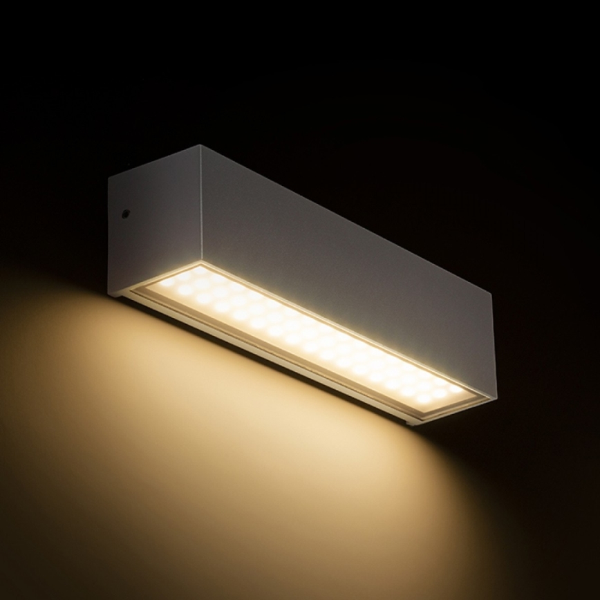 RED-Design Rendl-R13527- Applique murale d'extérieur CAMARGUE LED/6W/230V IP65