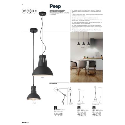 Redo 01-1279 - Hanglamp met kabel PEEP 1xE27/42W/230V Ø 16,5 cm zwart