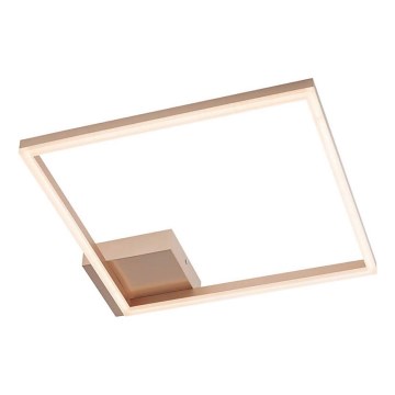 Redo 01-1639 - Plafonnier LED dimmable KLEE LED/30W/230V 45x45 cm doré