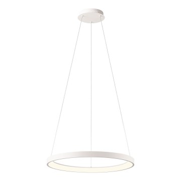 Redo 01-2672 - ICONIC dimbare LED-hanglamp aan kabel LED/50W/230V Ø 58 cm wit