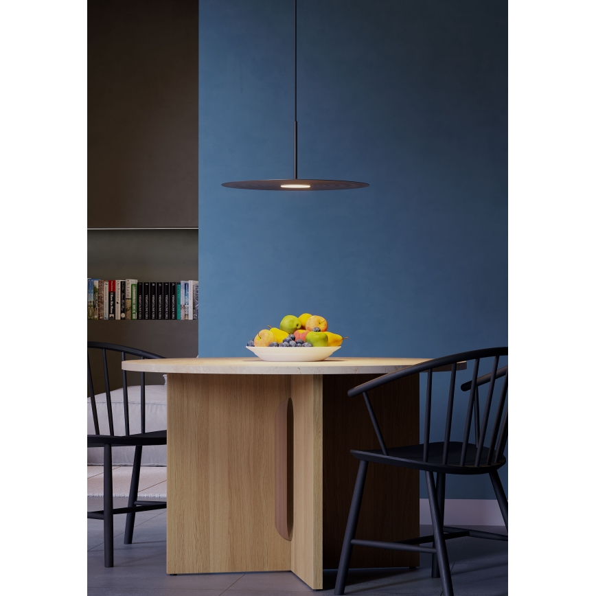 Redo 01-3047 - Suspension LED sur câble LAKE, 13 W, 230 V, IRC 90, Ø 50 cm, noire