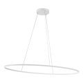 Redo 01-3340 - Dimbare hanglamp met kabel LEO LED/67W/230V 3000/4000K CRI 90 60x130 cm wit
