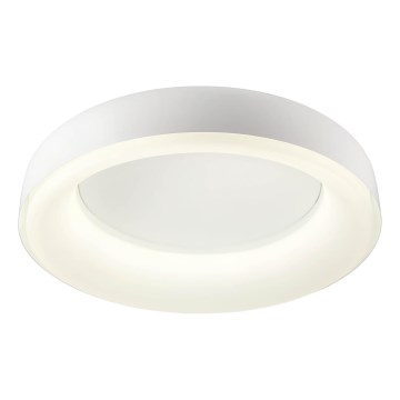 Redo 01-3941 - Plafonnier LED DIP/40W/230V 2700/3000/4000/5000/6500K IRC 90 Ø 62,4 cm blanc