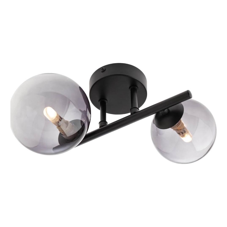 Redo 01-3987 - Bevestigde hanglamp ASTRA 2xG9/8W/230V zwart