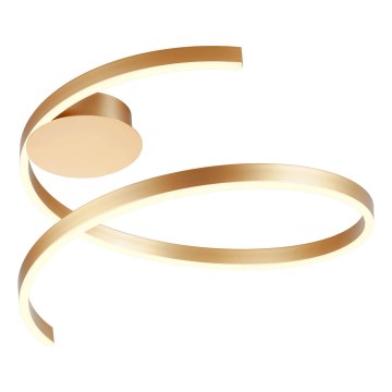 Redo 01-4011 - LED dimbare plafondlamp SCROLL LED/38W/230V 3000K/4000K/6000K CRI 90 Ø 60 cm goudkleurig