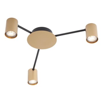 Redo 01-4049 - Spot NOA 3xGU10/10W/230V doré