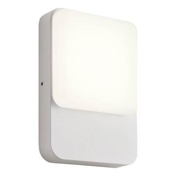 Redo 90128 - COLIN LED buitenwandlamp 9W/230V 4000K IP54 wit