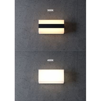 Redo 90325 - LED buitenwandlamp KODIAK LED/8W/230V 4000K 20 cm IP65 wit