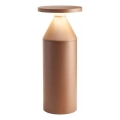 Redo 90590 - Lampe LED d'extérieur BIRO LED/12W/230V 3000K 30 cm IRC 90 IP65 marron