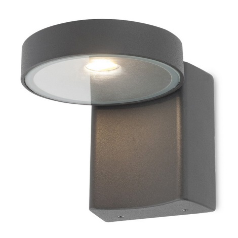 Redo 9195 - LED Wandlamp voor buiten BIRKEN LED/10W/230V IP54