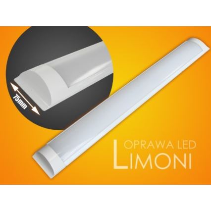 Réglette de cuisine LIMONI LED/40W/230V 3000K 120 cm