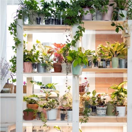 Réglette de cuisine pour la culture des plantes GROWLY 2xLED/8,5W/230V blanc