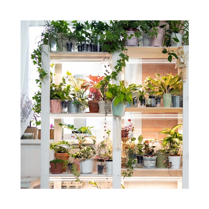 Réglette de cuisine pour la culture des plantes GROWLY 2xLED/8,5W/230V blanc