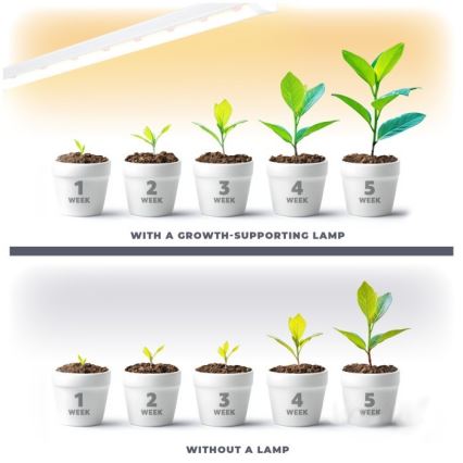 Réglette de cuisine pour la culture des plantes GROWLY LED/9W/230V blanc