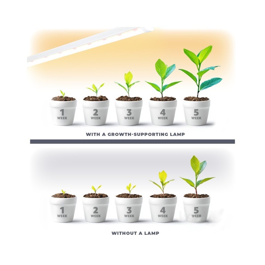 Réglette de cuisine pour la culture des plantes GROWLY LED/9W/230V blanc