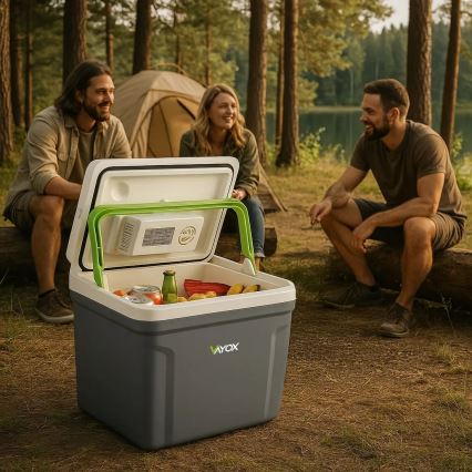 Reis koelkast met verwarmingsfunctie 27 l 230V/12V/24V grijs