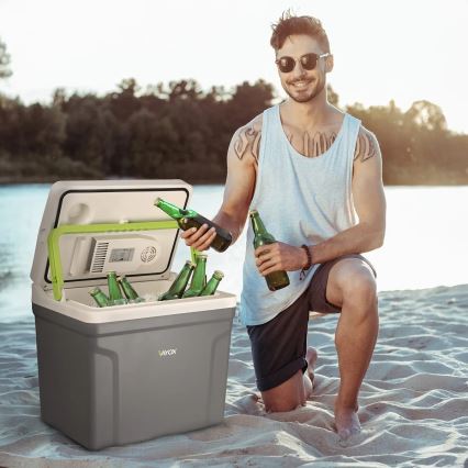 Reis koelkast met verwarmingsfunctie 27 l 230V/12V/24V grijs