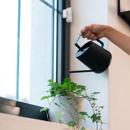 Détecteur d'ouverture intelligent pour fenêtres et portes — 2x piles AAA