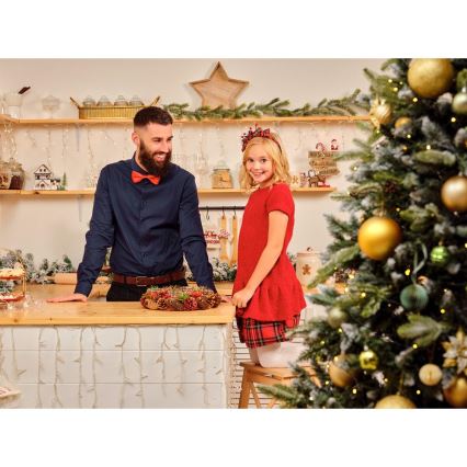Décoration de Noël LED/2xLR44/blanc chaud maison