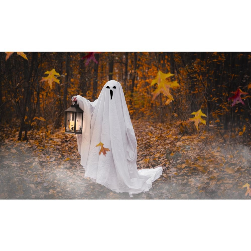 LED Decoratie HALLOWEEN LED/3xAAA/warm wit lantaarn