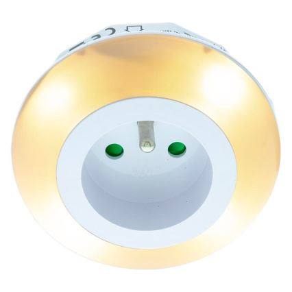 LED Oriëntatie Lamp met een Schemer Sensor en Stekker LED/0,6W/230V