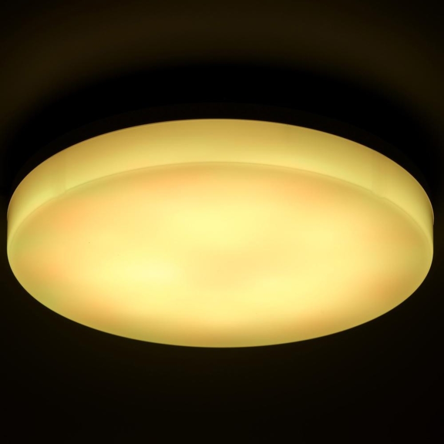 LED RGBW Dimbaar Badkamer Plafondlamp LED/20W/230V Wi-Fi IP44 Wit