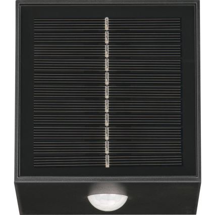 Retlux - LED-zonne-wandlamp met sensor LED/1W/3,7V 1200 mAh IP44 zwart