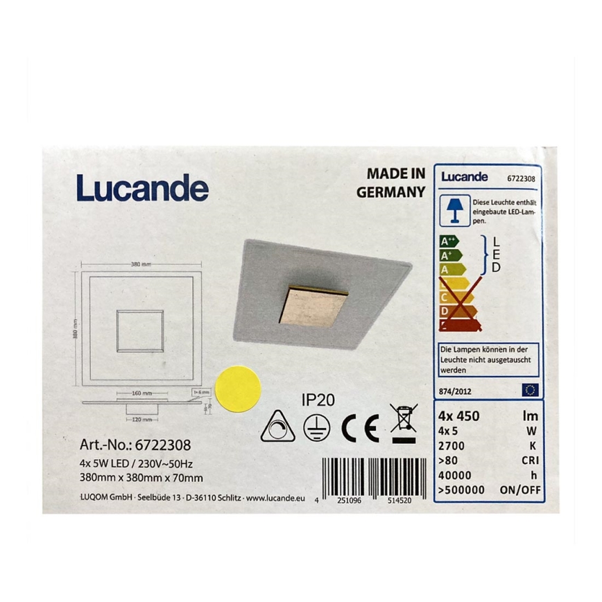 Rothfels - Dimbare LED plafondlamp LOLE 4xLED/5W/230V