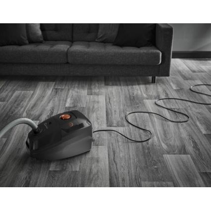 Rowenta - Aspirateur VERT FORCE MAX ECO 900W/230V noir