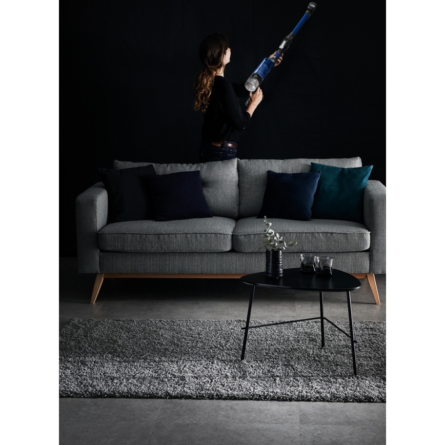 Rowenta - Steelstofzuiger X-FORCE FLEX 250W/18V