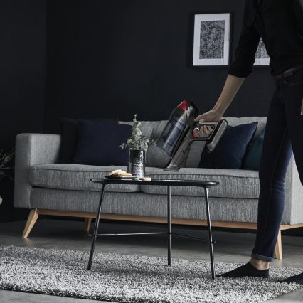 Rowenta - X-FORCE FLEX ANIMAL CARE 2-in-1 steelstofzuiger 320W/25,2V zwart 2000 mAh