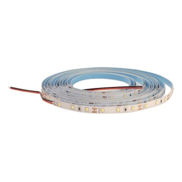 Ruban à intensité variable LED DAISY 5m blanc froid