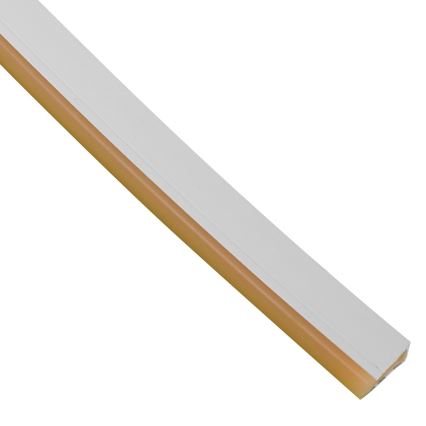 Ruban de salle de bain NEON EKO-FLEX LED/250W/12V IP65 25m orange