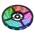 Ruban LED RGBW Smart à intensité variable 5m LED/230V 2700-6500K Wi-Fi Tuya + télécommande