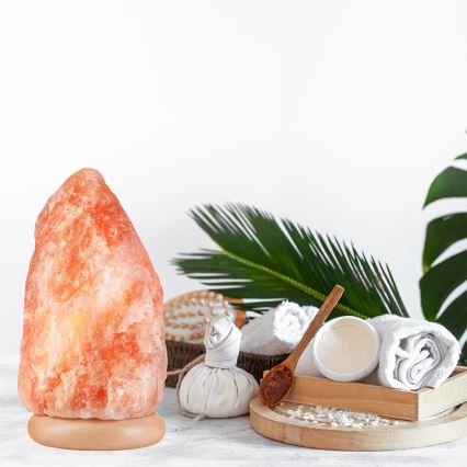 Salt lamp SALLY 1xE14/25W/230V els 5,4 kg