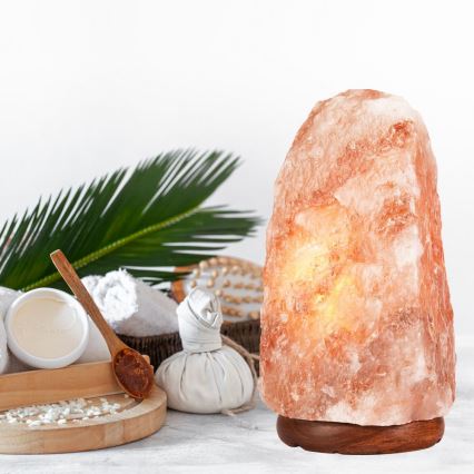 Salt lamp SALLY 1xE14/25W/230V els 7,16 kg