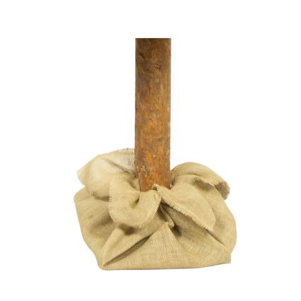 Sapin de Noël sur un tronc 180 cm pin