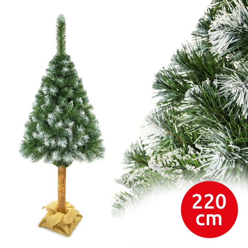 Sapin de Noël sur un tronc 220 cm pin