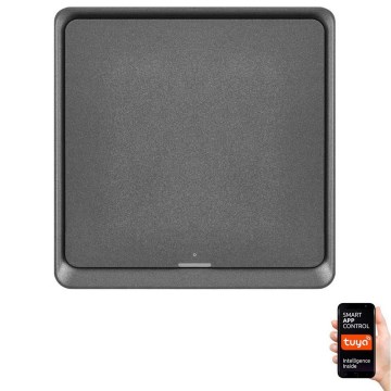 Schakelaar 1-knops GoSmart 1xCR2430 Tuya zwart